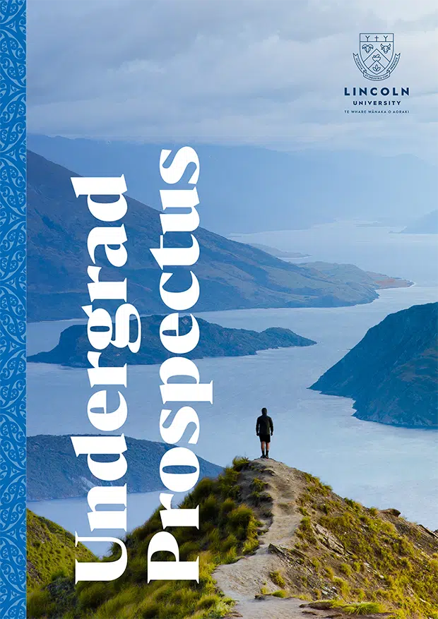 LIN4135 Undergraduate Prospectus 2025 WEB 1