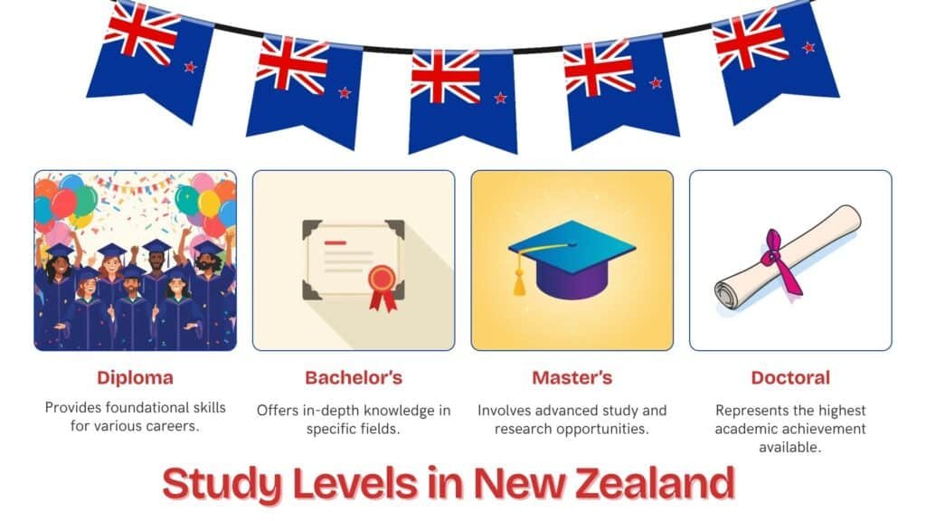 Study Levels in New Zealand